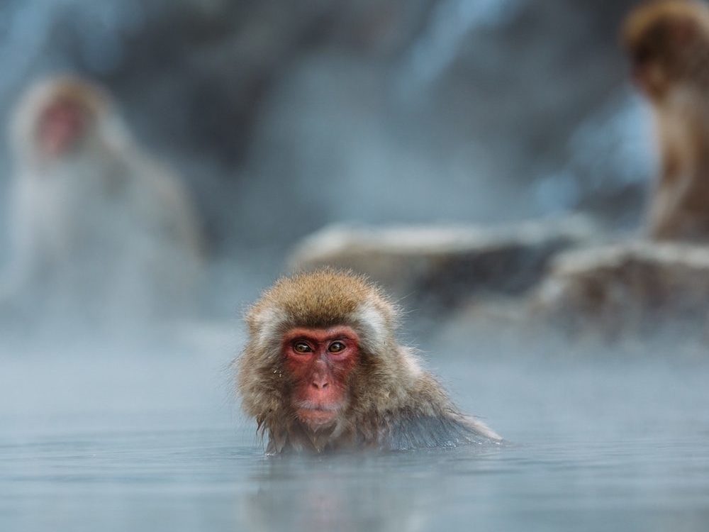 What Japan’s Communal Baths Taught Me About Shame