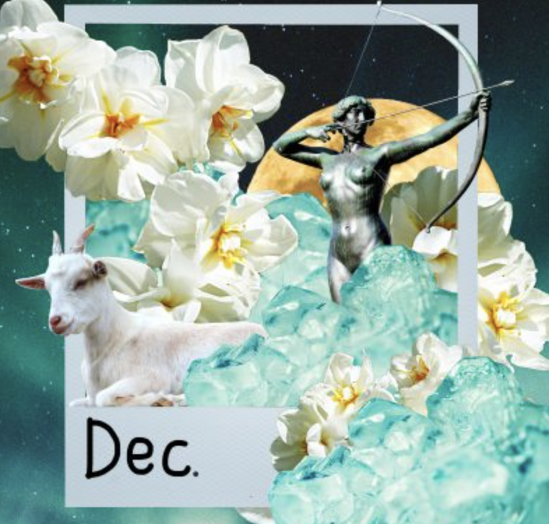 December Horoscopes