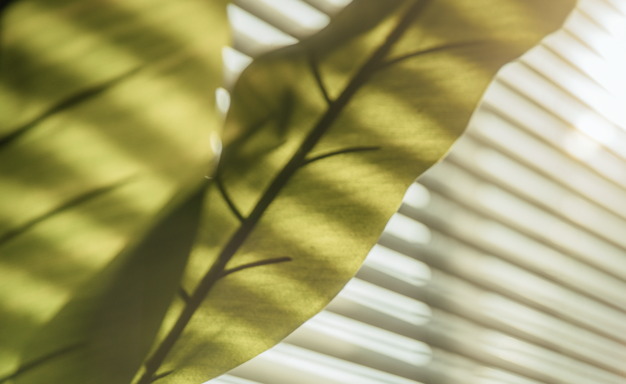 Simple Steps to Ease Lockdown Anxiety