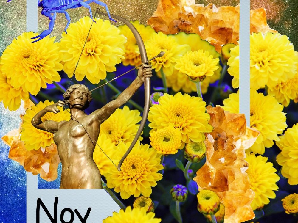 November Horoscopes